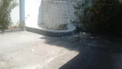 a building with a stone wall and a plant at Varshinicottage kothkiri in Kotagiri