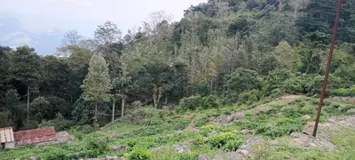 a view of a hill with trees on it at Varshinicottage kothkiri in Kotagiri