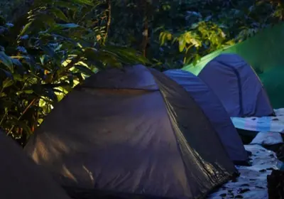 a couple of tents sitting on a table in a forest at Wooden creek tent camping in Meppādi
