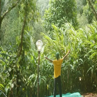 a man standing next to a street light with his arms out at Wooden creek tent camping in Meppādi