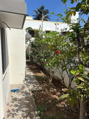 a garden next to a house with a blue frisbee on the ground at Heart of Mysore - Entire Place for yourself in Mysore