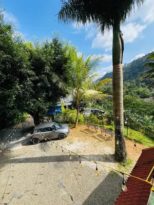 a car parked in a parking lot next to a palm tree at Greenwoods Munnar Unmarried Allowed in Munnar