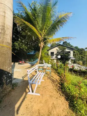 a white bench sitting in front of a palm tree at Greenwoods Munnar Unmarried Allowed in Munnar