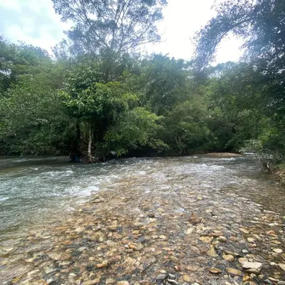 a river with rocks and trees on the side at Carta Blanca in Mananthavady