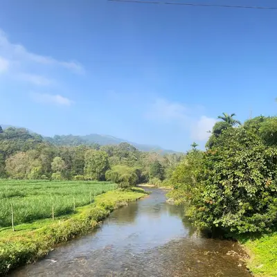 a river in the middle of a field at Carta Blanca in Mananthavady