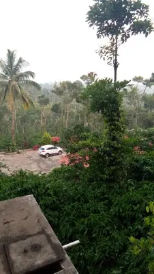 a car parked in a parking lot with a tree at The Blue Mountains Estate Stay in Madikeri