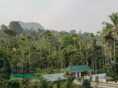 a forest of palm trees and a building with a green roof at LilliputHaven Treehut in Sultan Bathery
