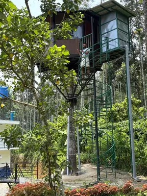 a tree house in a tree at LilliputHaven Treehut in Sultan Bathery