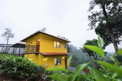 a yellow house in the middle of a forest at Velvet Oasis Cottages in Vythiri