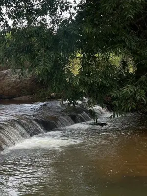 a river with a waterfall and trees in the foreground at Casa De KCN in Kotagiri