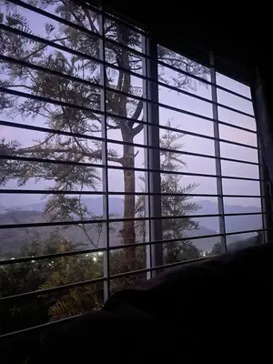 a view of a tree through a window at Casa De KCN in Kotagiri