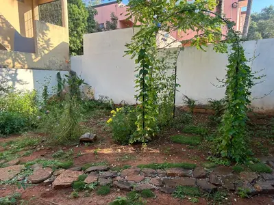 a garden with ivy growing around a wall at Sogni D oro in Mysore