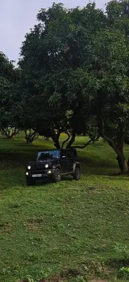 a black car parked in a field under a tree at Pannadikadu Homestay in Sethumadai