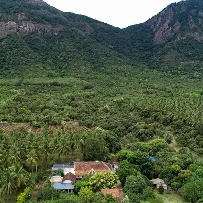 Pannadikadu Homestay
