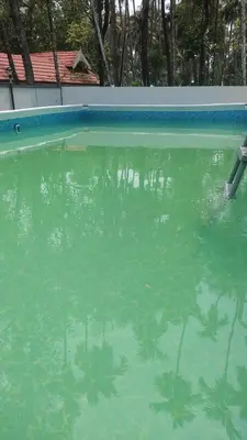a pool of green water with trees in it at Katadi beach home in Thanniyam