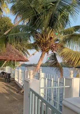 a palm tree in front of a white fence at RiverSoul Villa in North Paravur