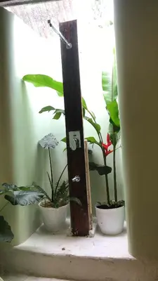 a window sill with plants and a wooden door at HeavensAway in Marayoor