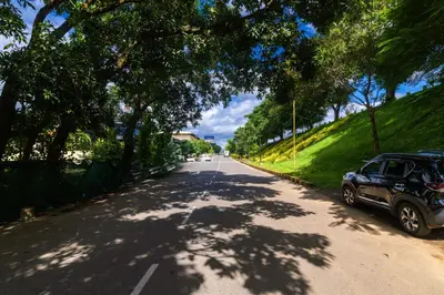 a car parked on the side of a road with trees at Classic Cochin Airport Hotel in Nedumbassery