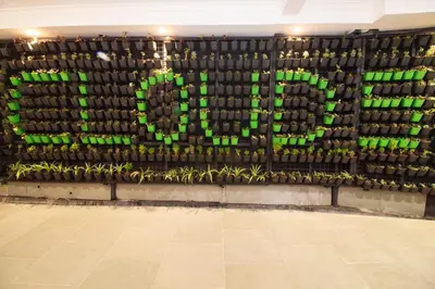 a wall of bottles with the word love written on it at Cloud Five in Munnar
