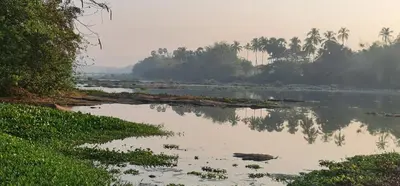 a large body of water with trees in the background at Nila Organica Farm Stay in Palakkad