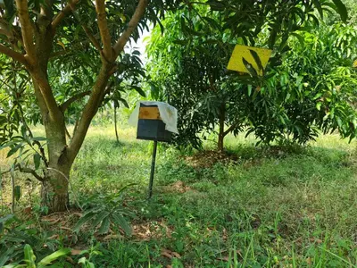 a bird house sitting in the grass next to a tree at Nila Organica Farm Stay in Palakkad