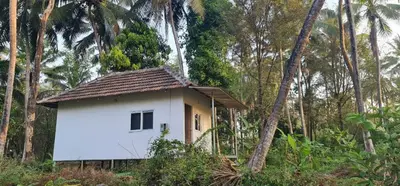 a small white house in the middle of a forest at Nila Organica Farm Stay in Palakkad