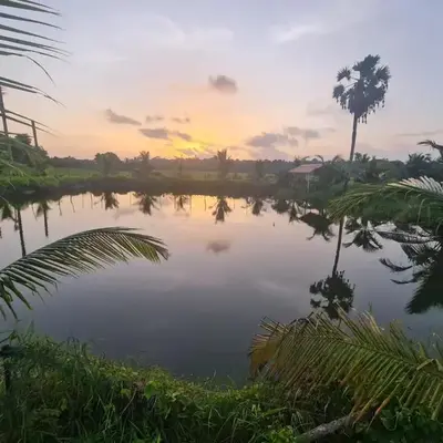 Nila Organica Farm Stay