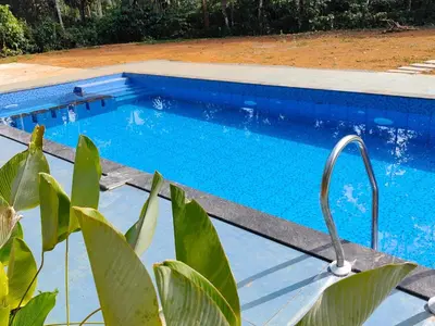 a blue swimming pool with a plant in front of it at Thoniyot Heritage villas in Kalpetta