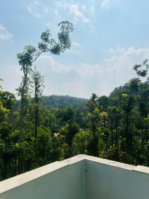a room with a view of a forest at Coorg Sana Riverside in Suntikoppa