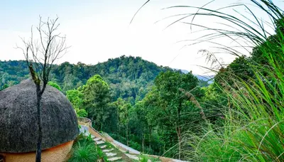 a winding road in the middle of a forest at Toroland Munnar in Viripara