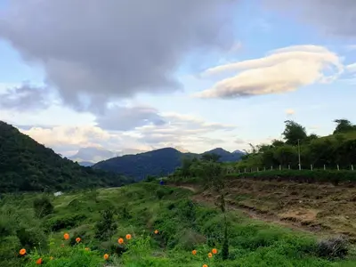 a view of a field with mountains in the background at wild grove resorts in Varagampadi