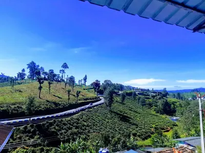 a train traveling on a track through a tea plantation at River View Homestsy in Vālpārai
