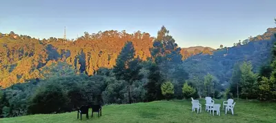 a group of white chairs and a horse on a hill at Jungle view in Coonoor