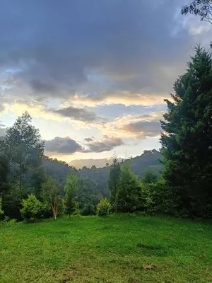 a grassy field with a view of a mountain at Jungle view in Coonoor