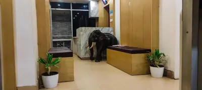 a clothing store with a mannequin in a room at Hotel Eastern in Sultan Bathery