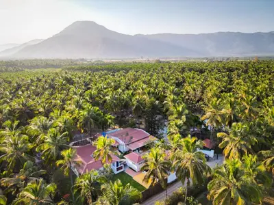 an aerial view of a resort surrounded by palm trees at Ibex Resorts, Coimbatore Kakarla in Alāndurai