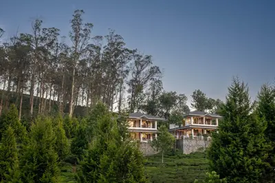 a house in the middle of a forest at Green Nest Resort Ooty in Kotagiri