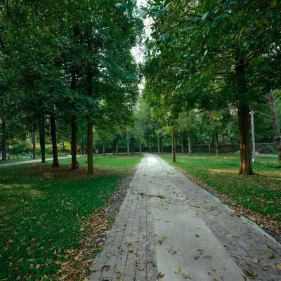 a path in a park with trees and leaves on the ground at Ohstayz Villa De Estate 64 in Kizhake Chālakudi
