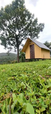 a small house in a field with a tree at Mount Camp in Marayoor