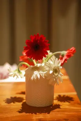 a vase filled with red and white flowers on a table at Shoreline Secrets in Trichūr
