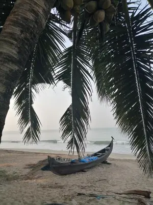 a boat on the beach under a palm tree at Shoreline Secrets in Trichūr