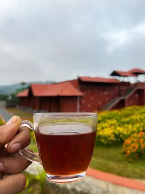 a person holding a cup of tea in their hand at Mana Gramam Resort Mudumalai- Only For Indians,NRI in Mudumalai National Park