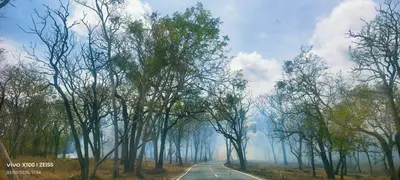 an empty road with trees on either side at The Bulbul Nest Homestay in Gūdalūr