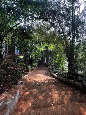 a dirt road with trees on the side at Silver Oak Resort Wayanad in Chithragiri