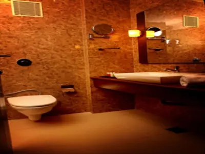 a bathroom with a toilet and a sink at Sunflower Hotel in Mysore