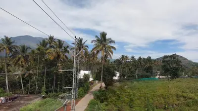 a view of a hill with palm trees and a road at Marayoor home stay in Marayoor