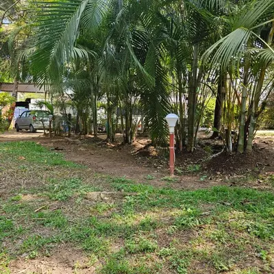 a parking meter in the grass next to some trees at Mysticgreens Home Stay in Piriyāpatna