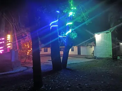 a group of lights on a tree at night at Wintervilla Cottages in Meppādi
