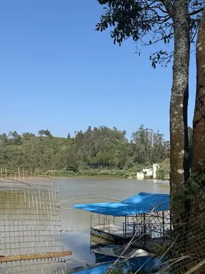 a group of boats sitting in the water at eagle resort in Ketti