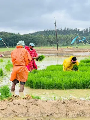 a group of people working in a field at Swastha Royal Resort Wayanad in Kaniyāmbetta